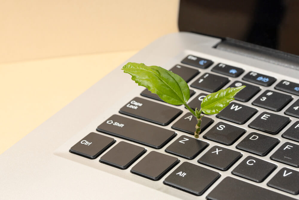 La sostenibilità come leva marketing etico, autenticità e fiducia nel 2025